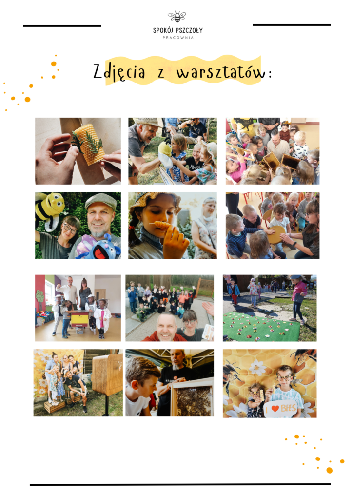 warsztaty ekologiczne o pszczołach, warsztatay o pszczołach dla dzieci, warsztaty ekologiczne dla dorosłych, spokoj pszczoły