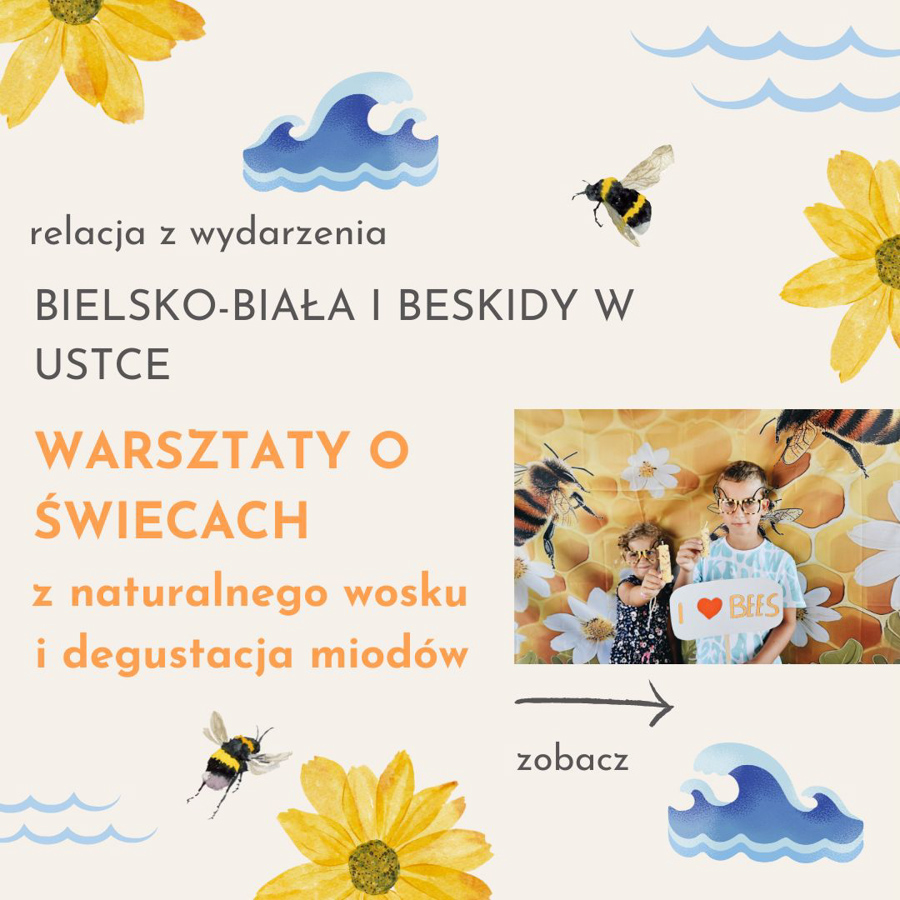 warsztaty ekologiczne Bielsko-Biała, warsztaty ekologiczne, warsztaty o pszczołach, pszczoły, warsztaty manualne Bielsko-Biała